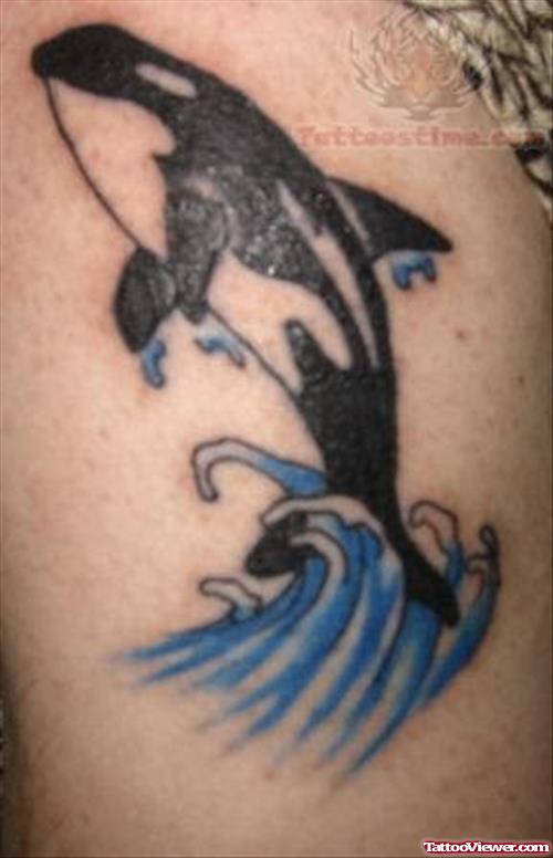 Stephenorca Ocean Tattoo