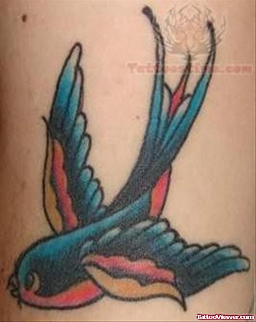 Colorful Bird - Old School Tattoo