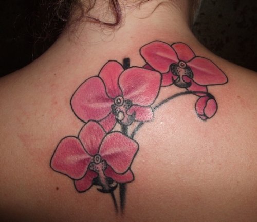 Girl Upper Back Pink Orchid Tattoos