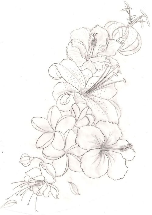 Orchid Flowers Tattoos Design