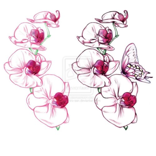 Butterfly On Orchid Tattoos Design