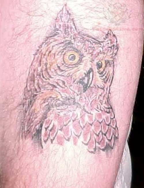 Color Owl Head Closeup Tattoo