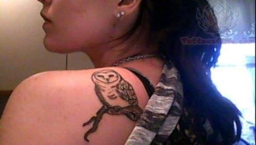 Small Owl Tattoo On Back Shoulder