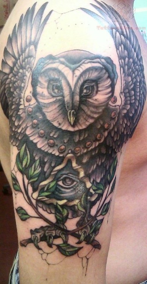 Flying Owl and Eye Tattoo On Bicep