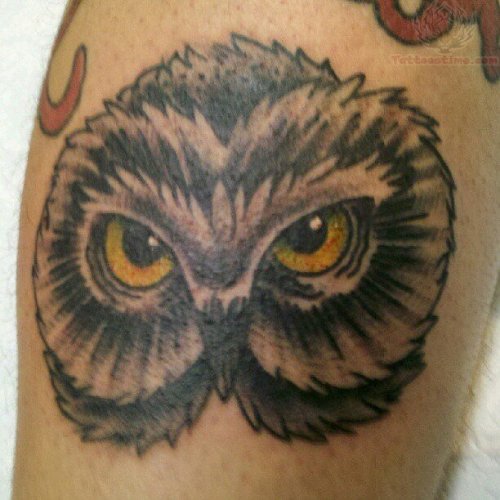 Brown Owl Head Tattoo