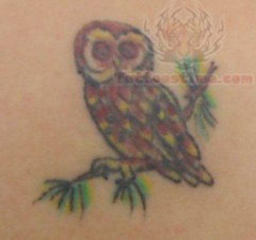 Color Owl Sitting On Branch Tattoo