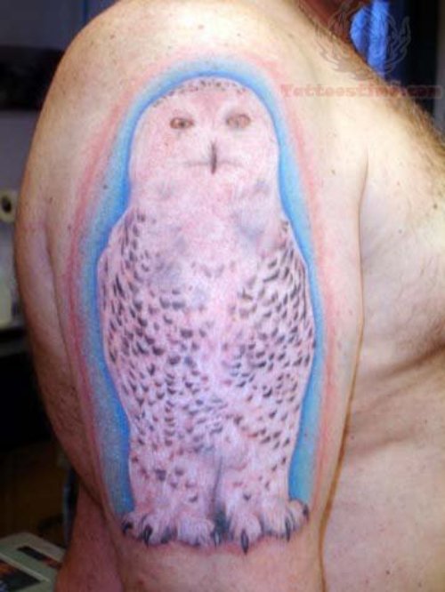 White Owl Tattoo On Half Sleeve