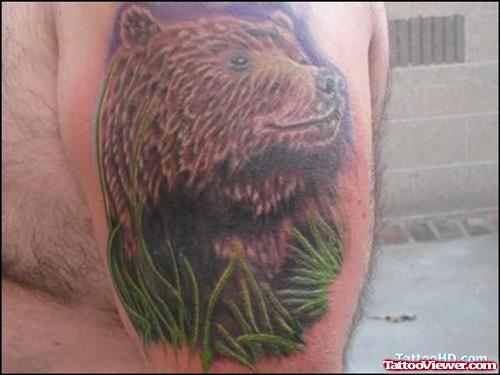 Panda Bear Tattoo On Bicep