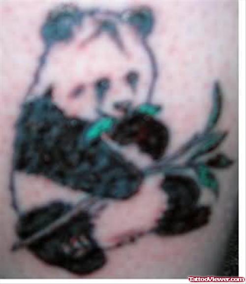Panda Old Tattoo