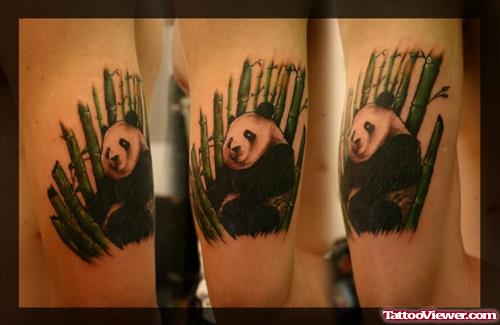 Panda Muscles Tattoo
