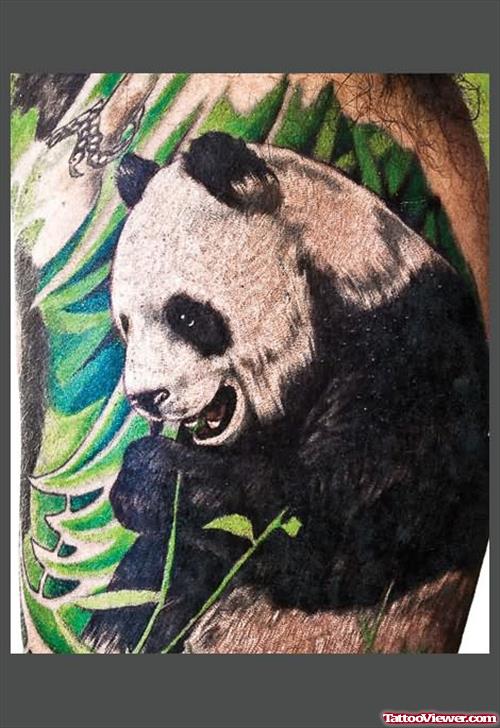Barth Panda Tattoo