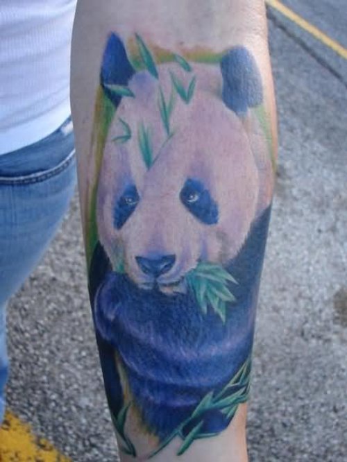 Mario Sanchez - Realistic Panda Tattoo
