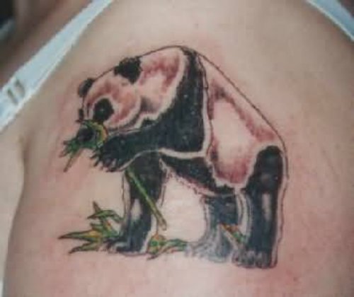 Panda Shoulder Tattoo