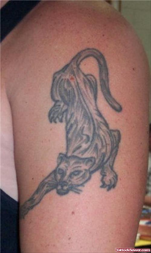 Grey Ink Panther Tattoo On Left Shoulder