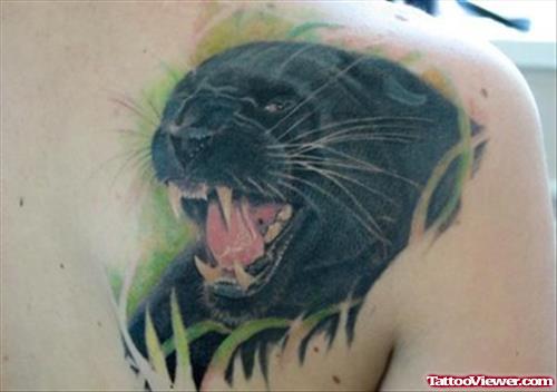 Angry Black Panther Tattoo On Right Back Shoulder