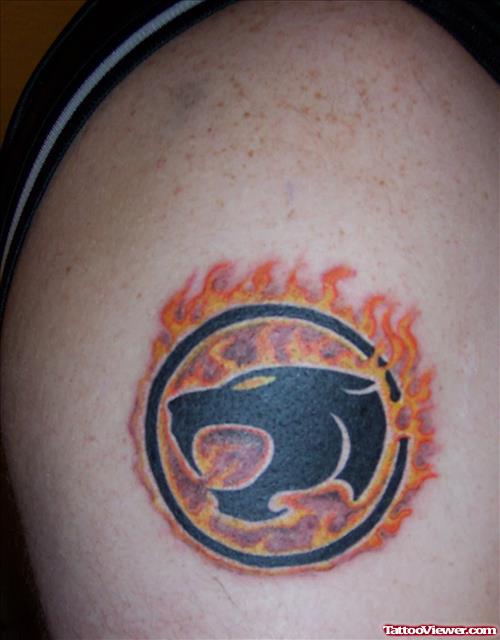 Panther Head In Flaming Logo Tattoo On Shoulder