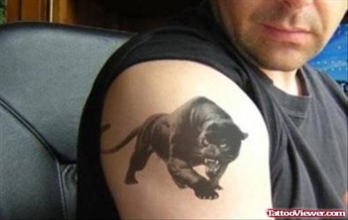 Black Panther Tattoo On Right Shoulder For Men