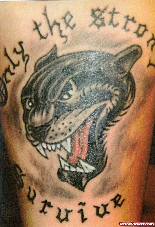 Black Panther Tattoo On Bicep