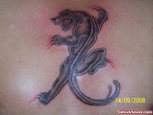 Crawling Panther And Paw Scratches Tattoo