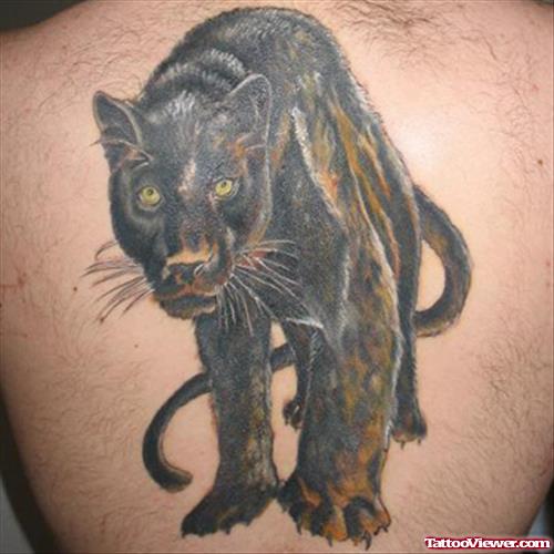 Beautiful Black Panther Tattoo On Back