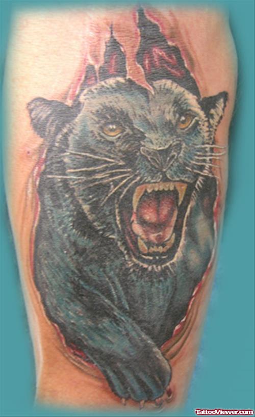 Ripped Skin Angry Panther Tattoo Design