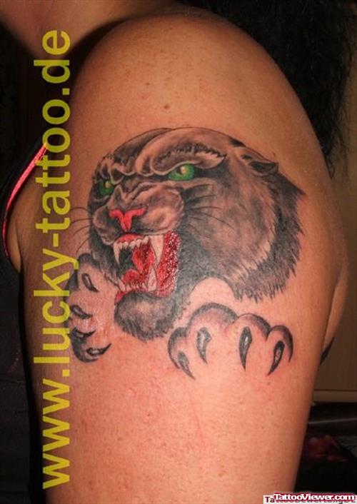 Panther Head Tattoo On Man Left Shoulder
