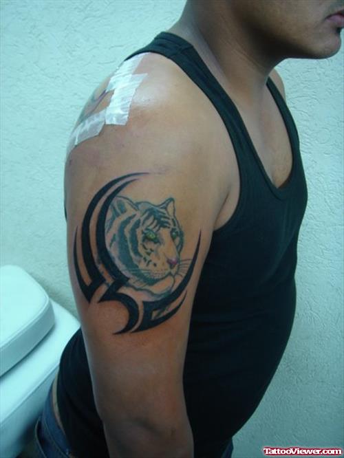 Tribal and Panther Head Tattoo On Right Shoulder