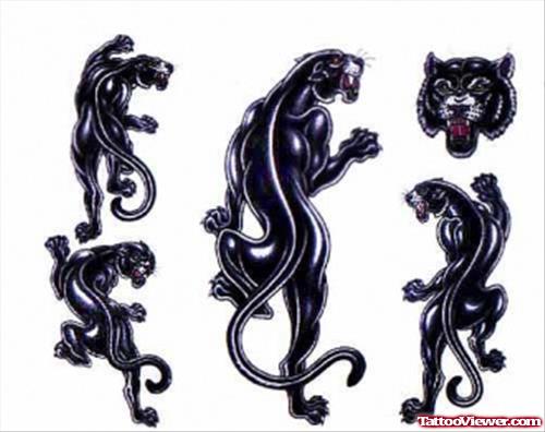 Latest Panther Tattoos Designs