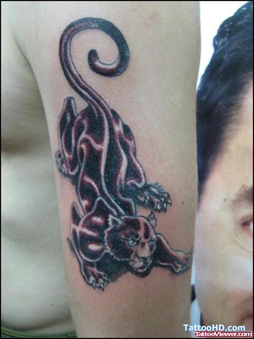 Grey Ink Panther Tattoo On Bicep