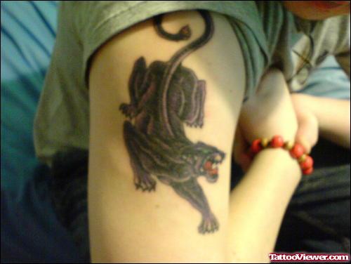 Panther Tattoo On Right Half Sleeve