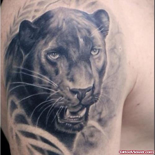 Amazing Black Panther Tattoo On Man Right Shoulder