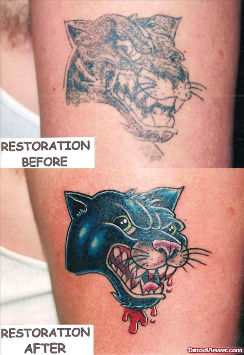 Panther Restoration Tattoo