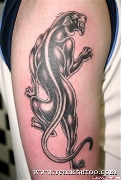 Panther Tattoo On Arm And Shoulder