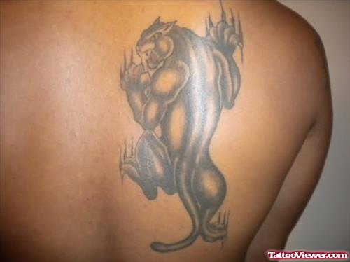 My Panther Tattoo On Back