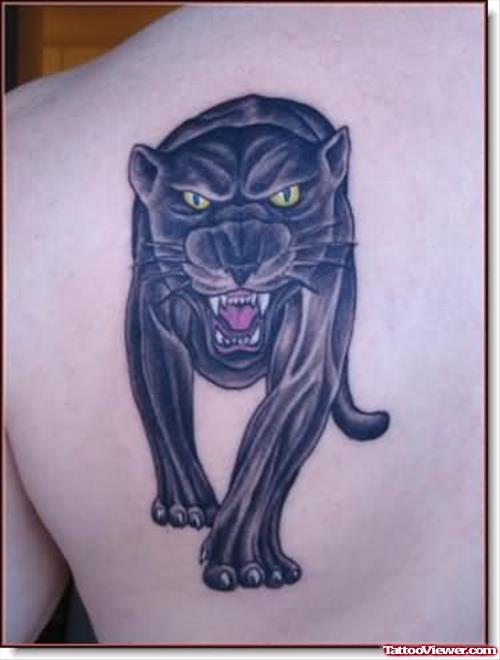 Angry Black Panther Tattoo On Back