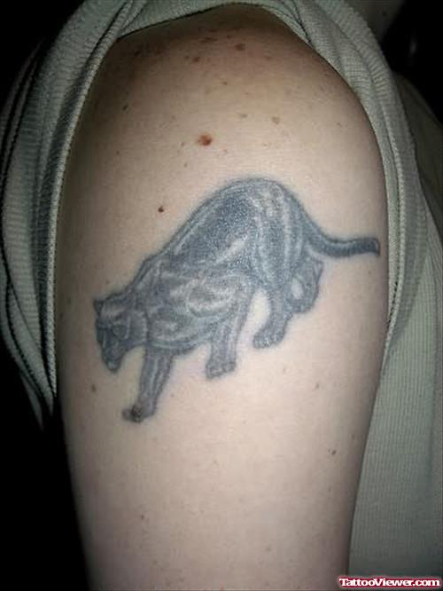 Amazing Panther Tattoo On Bicep