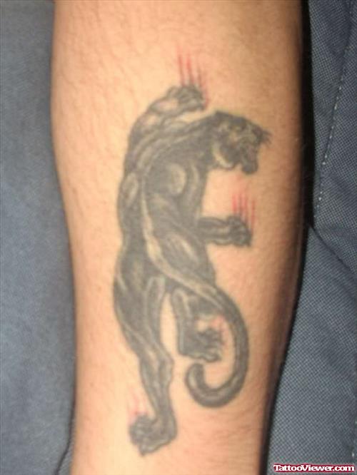 Dull Panther Tattoo