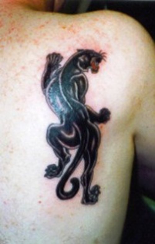 Crawling Black Panther Tattoo On Right Back Shoulder