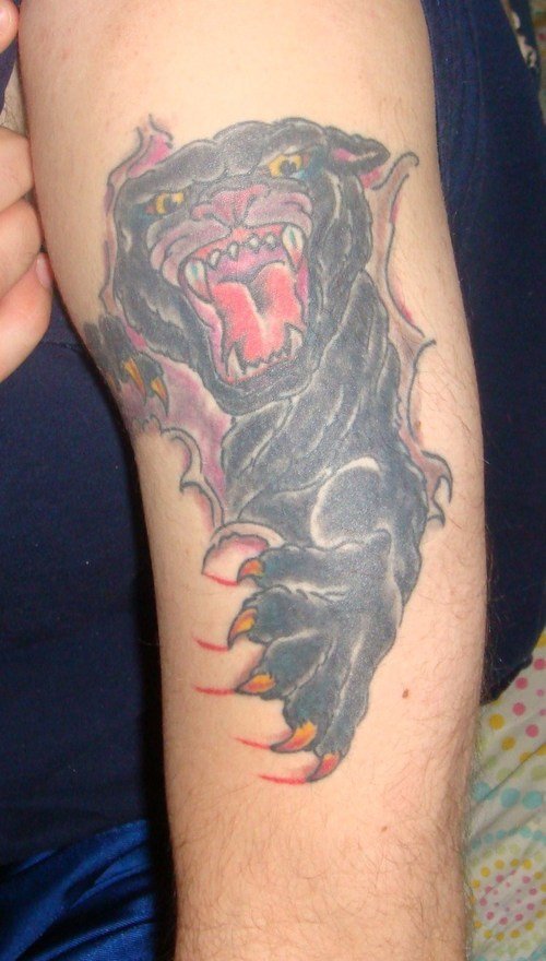 Ripped Skin Panther Tattoo On Sleeve