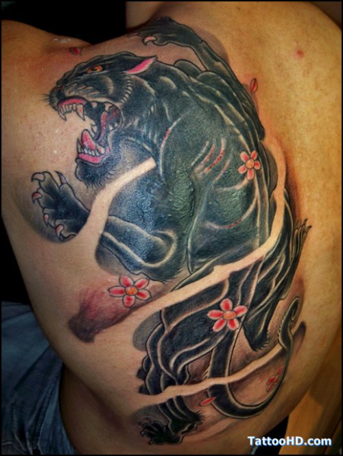 Black Panther Tattoo On Man Left Back Shoulder