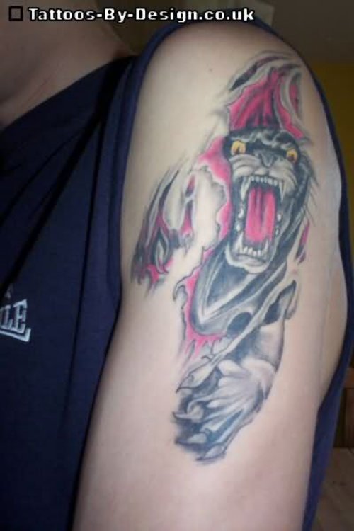 Ripped Skin Crawling Panther Tattoo On Left Shoulder