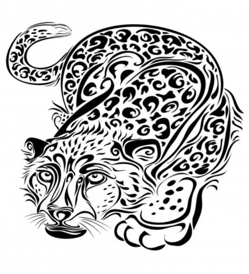 Animal Tattoos Of Panther