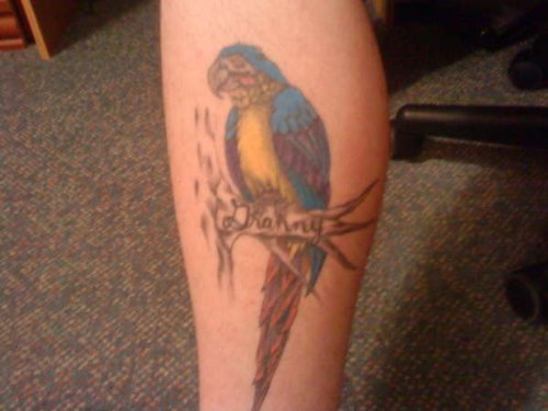 Colored Parrot Tattoo On Side Leg