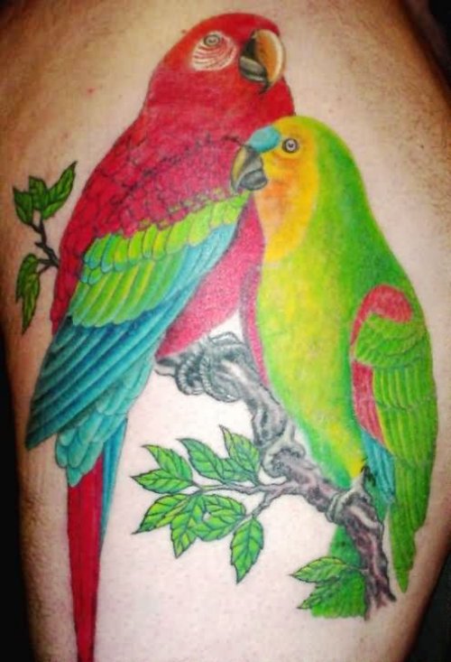 Red And Green Parrot Tattoos