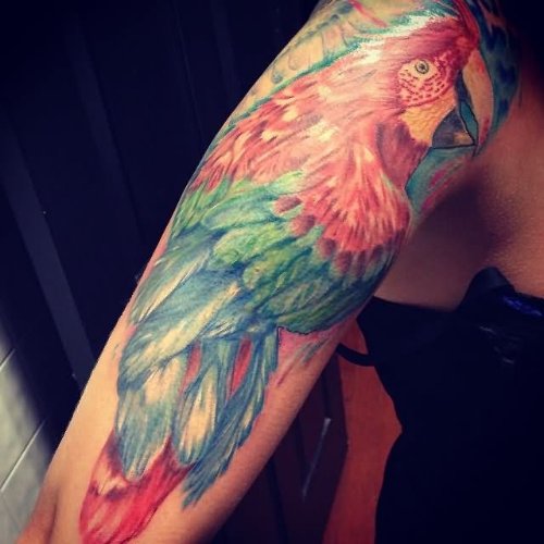 Colorful Parrot Tattoo On Right Sleeve