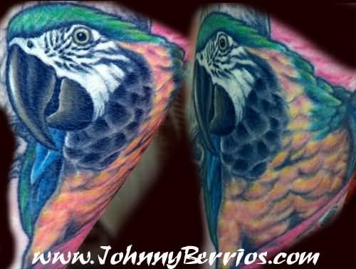 Colored Parrot Head Tattoo