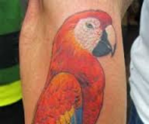 Red Ink Parrot Tattoo On Right Leg