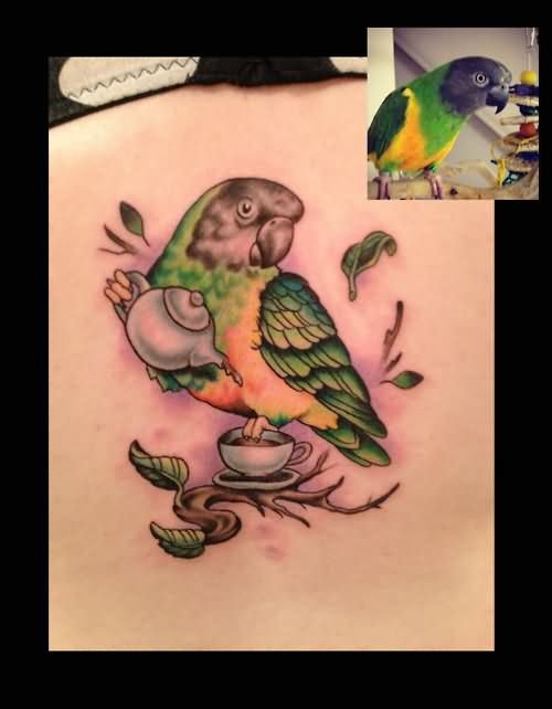 Left Back Shoulder Parrot Tattoo
