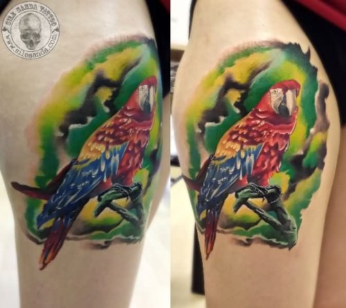 Realistic Color Parrot Tattoo On Right Thigh