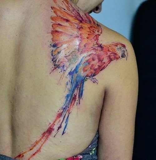 Awesome Right Back Shoulder Parrot Tattoo